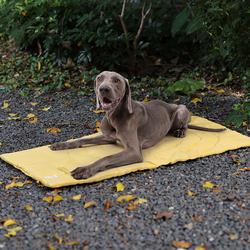 Portable Pet Mat Foldable Pet  - đánh giá và giá Outdoor Camping Rug Waterproof