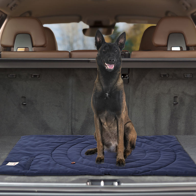 Portable Pet Mat Foldable Pet  - đánh giá và giá Outdoor Camping Rug Waterproof