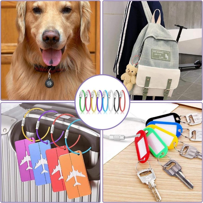 25PCS/Set Colorful Stainless S - đánh giá và giá Camping Rope